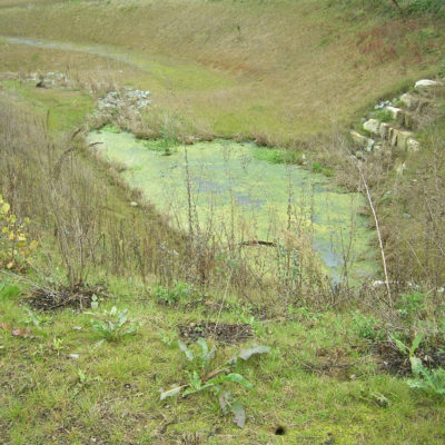 Zweckverband Zweckverband Gewerbegebiet Weinsberg-Ellhofen am AutobahnkreuzWeinsberg-Ellhofen - Bebauungsplan "Gewerbegebiet Weinsberg/Ellhofen am Autobahnkreuz"