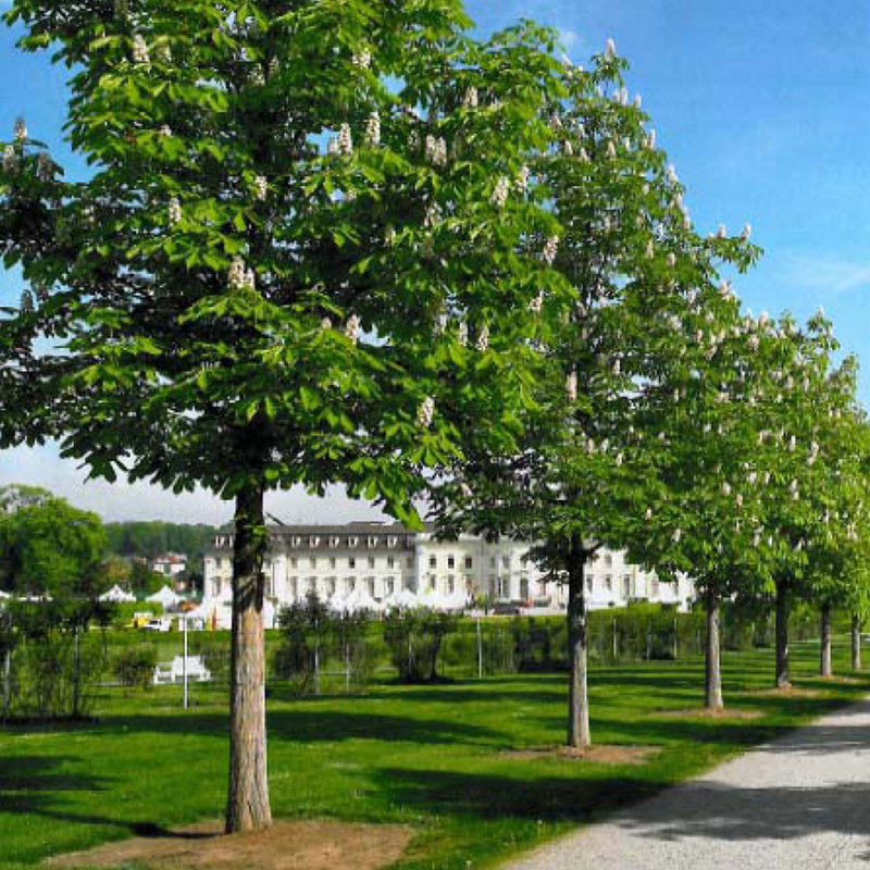stadtplanung