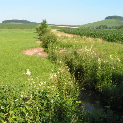 Oberstenfeld