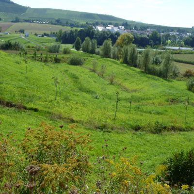Abstatt