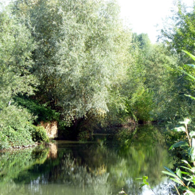 Benningen