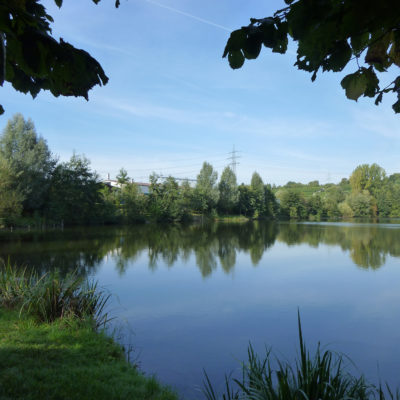 Freiberg a.N. und Benningen