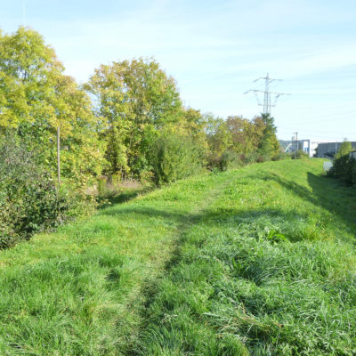 Freiberg a.N. und Benningen